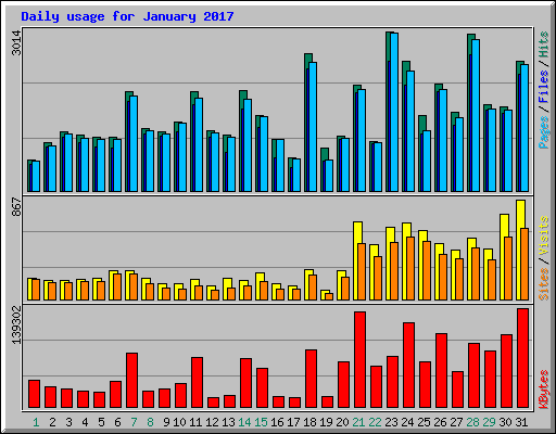 Daily usage for January 2017