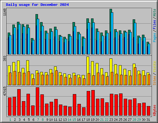 Daily usage for December 2024