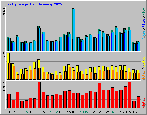 Daily usage for January 2025