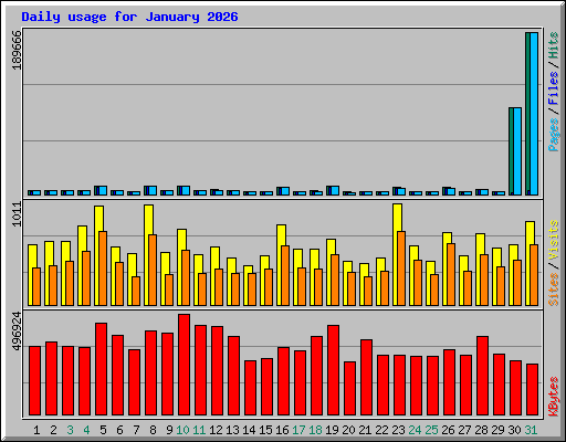 Daily usage for January 2026