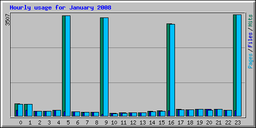 Hourly usage for January 2008