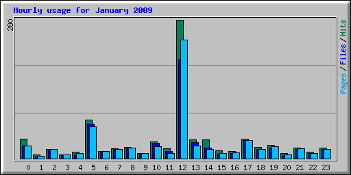 Hourly usage for January 2009