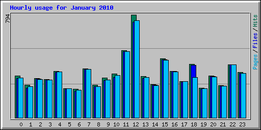 Hourly usage for January 2010