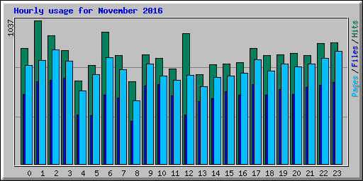 Hourly usage for November 2016