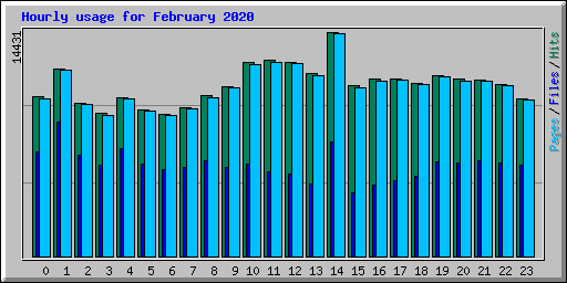 Hourly usage for February 2020