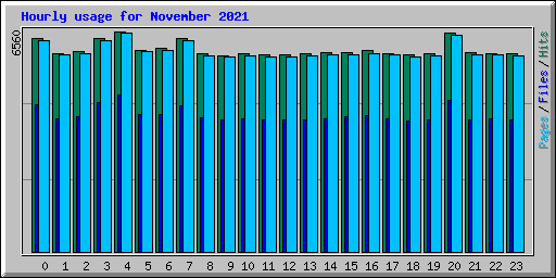 Hourly usage for November 2021