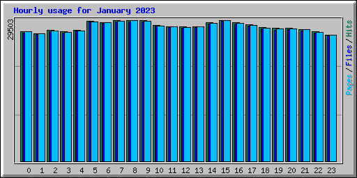 Hourly usage for January 2023