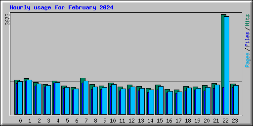 Hourly usage for February 2024