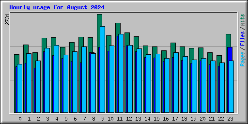 Hourly usage for August 2024
