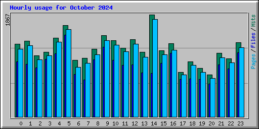 Hourly usage for October 2024