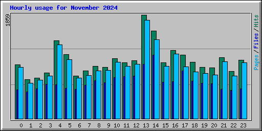 Hourly usage for November 2024
