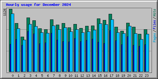 Hourly usage for December 2024