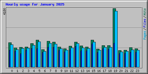 Hourly usage for January 2025