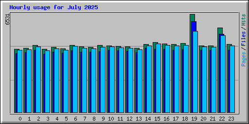 Hourly usage for July 2025