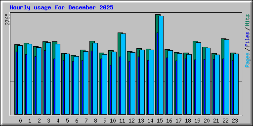 Hourly usage for December 2025