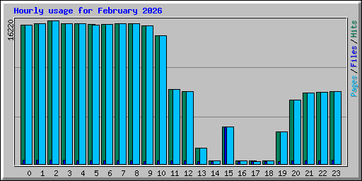 Hourly usage for February 2026